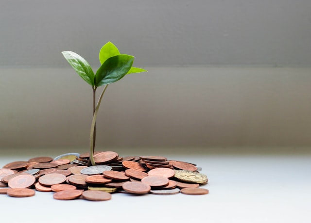 File a Claim or Pay Out of Pocket?